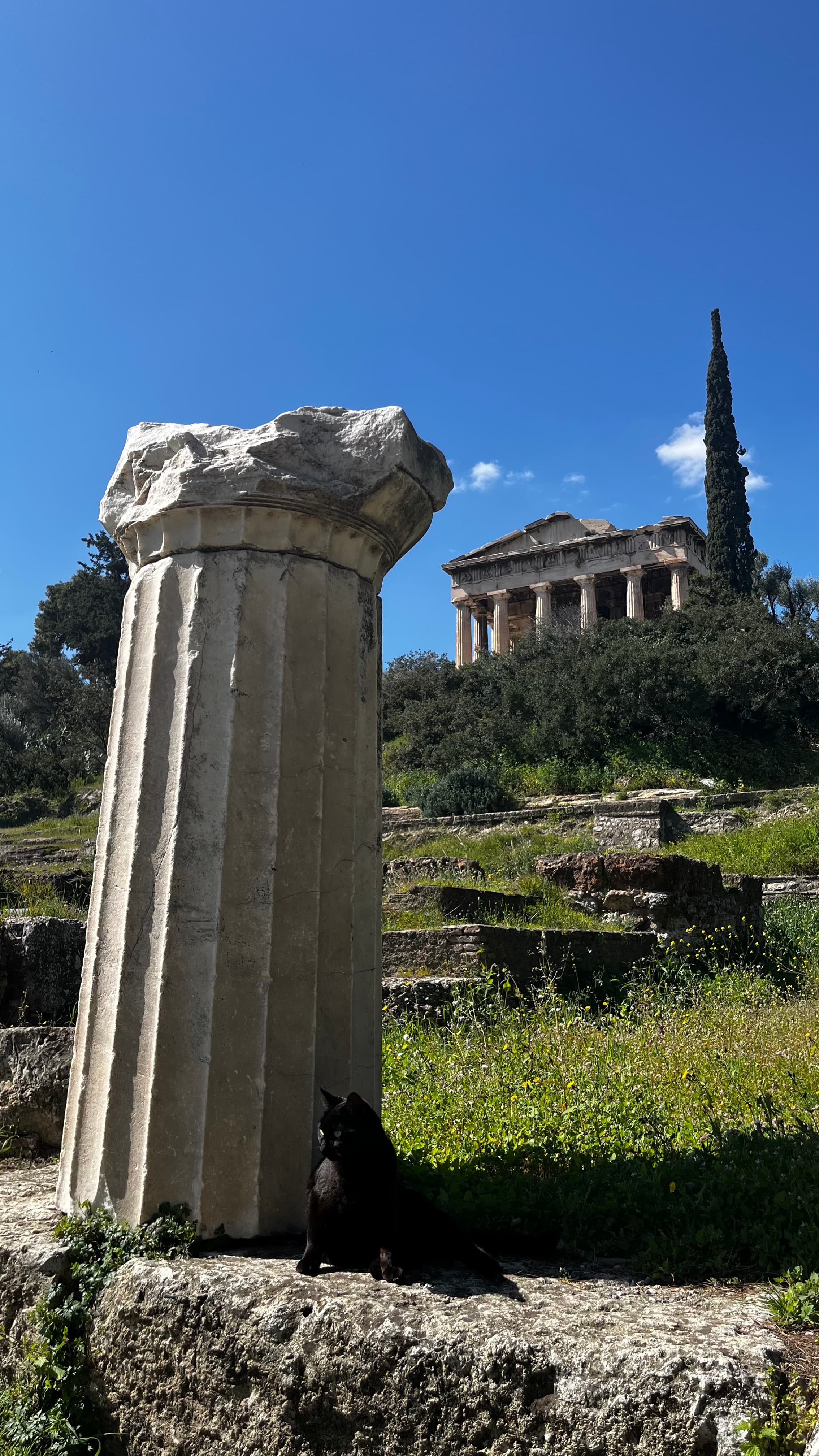 Athens III. A photo I took in Athens.